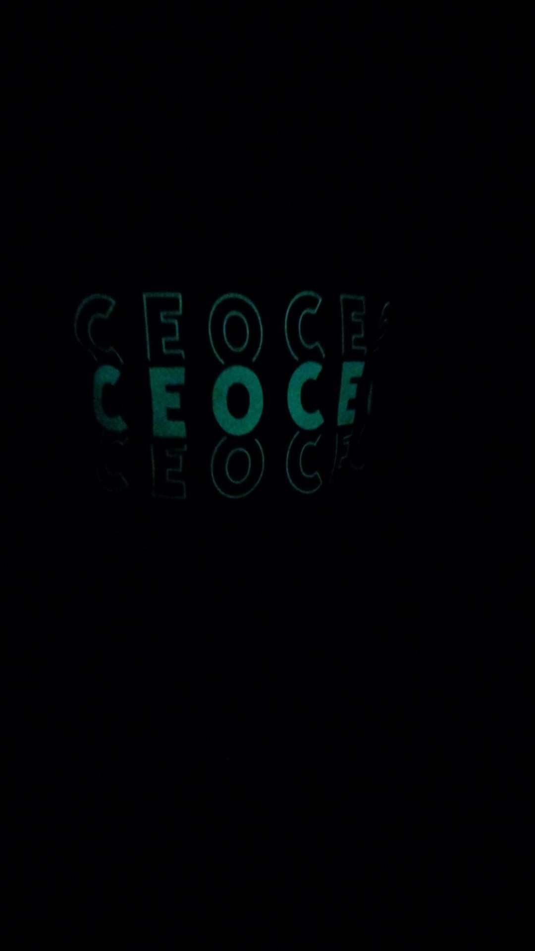 Worlds a Blur CEO Hoodie