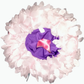 Flowing Petals Pure White Satin Bonnet